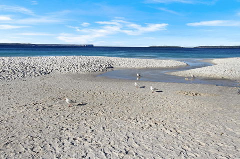 Huskisson Holiday Motel Cabins - Winery Find 21