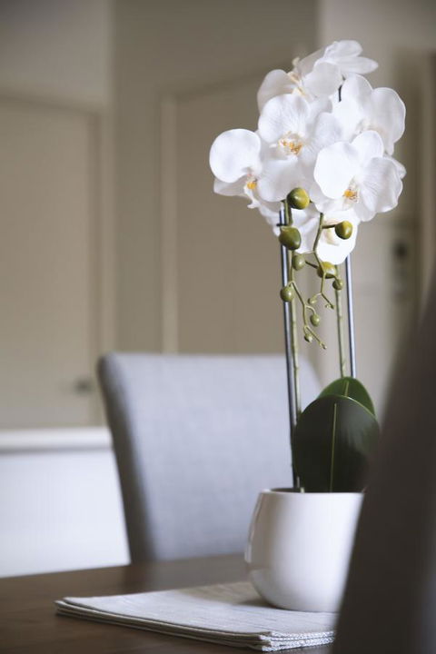 Quest Wagga Wagga - Winery Find 18