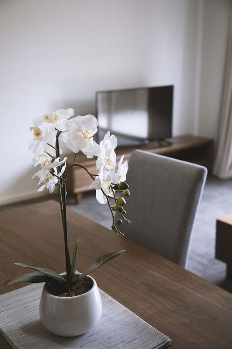 Quest Wagga Wagga - Winery Find 11