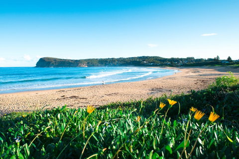 Copacabana Shores - Winery Find 2