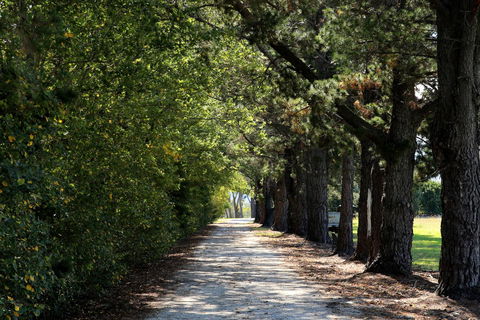 Terara Riverside Retreat - Winery Find 26