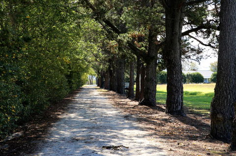 Terara Riverside Retreat - Winery Find 30