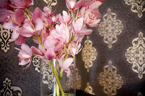 Hotel Challis Potts Point - Winery Find 14