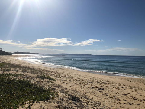 Salthouse Berrara - Winery Find 27