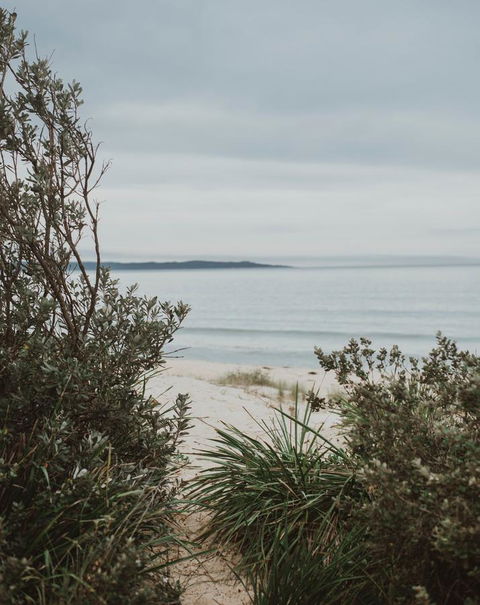 Salthouse Berrara - Winery Find 18