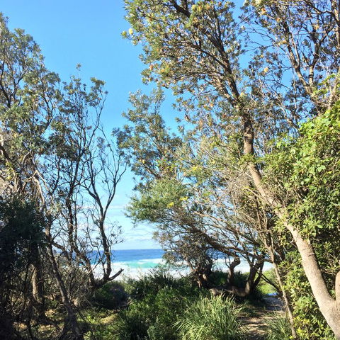 Salthouse Berrara - Winery Find 22