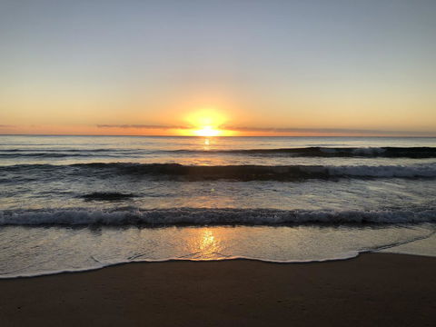 Salthouse Berrara - Winery Find 24