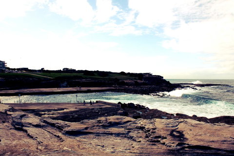Little Coogee Hotel - Winery Find 41