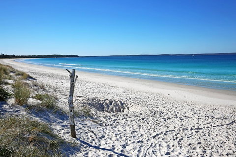 Sandy Toes Beach House Jervis Bay - 2min To Beach - Winery Find 22