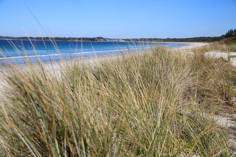 Sandy Toes Beach House Jervis Bay - 2min To Beach - Winery Find 23