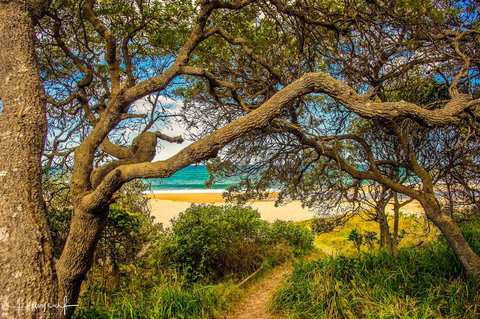 Valla's Beach House - Winery Find 2