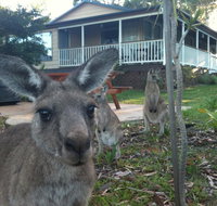 Bush  Bay Cottage - Winery Find