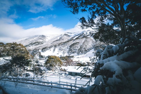 Pure Chalet Thredbo - Winery Find 31