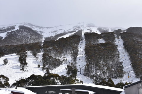 Pure Chalet Thredbo - Winery Find 6