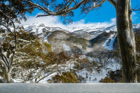 Pure Chalet Thredbo - Winery Find 17