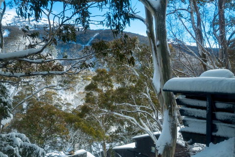 Pure Chalet Thredbo - Winery Find 30