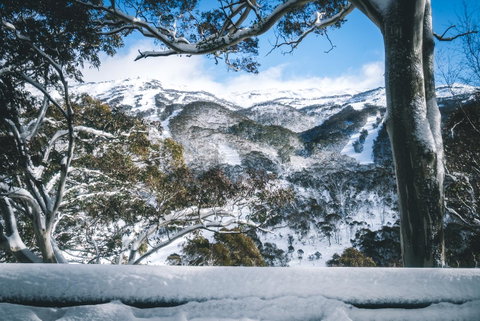Pure Chalet Thredbo - Winery Find 2