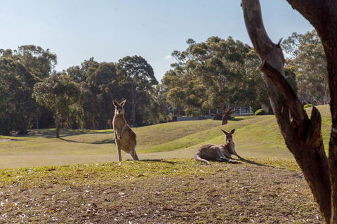 Horizons Retreat & Golf, Villa 133 - Winery Find 18