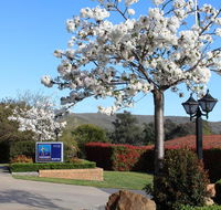 Hume Country Motor Inn - Winery Find