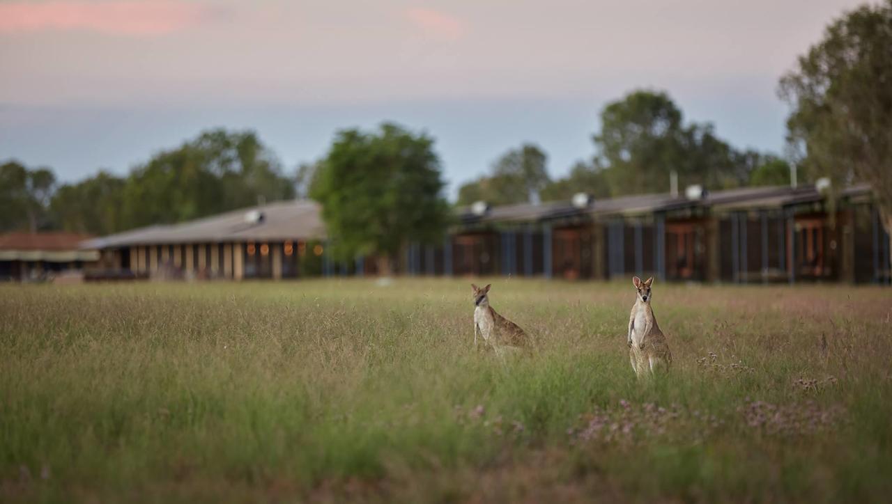 Wadeye NT Winery Find