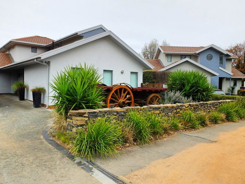 Rock Wallaby - Winery Find 5