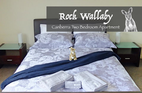 Rock Wallaby - Winery Find 4