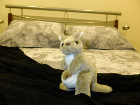 Rock Wallaby - Winery Find 17