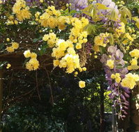 Bowral Road Bed and Breakfast - Winery Find