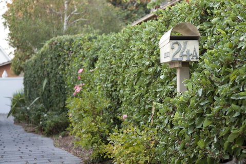 Brighton House - Winery Find 2