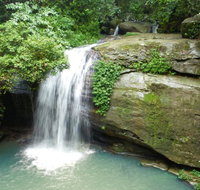 Buderim Forest Hideaway - Winery Find