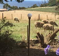 Cape View B and B - Winery Find