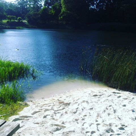 Cloudlake Mountain Retreat - Winery Find 3