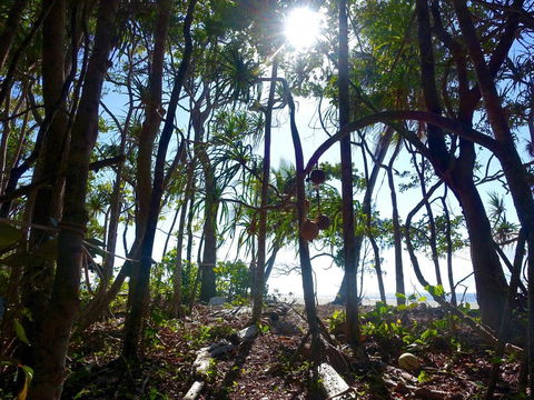 Coconut Beach House - Winery Find 2