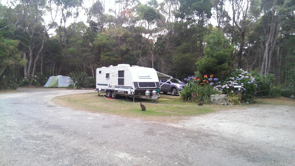 Crayfish Creek TAS Winery Find