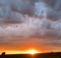 creative 3D sculpture share - Winery Find