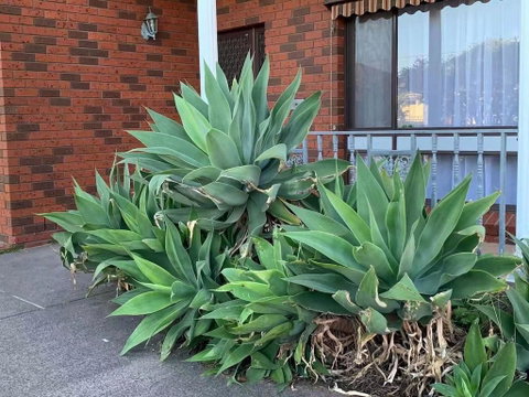 Delightful Bedroom In Bentleigh East - Winery Find 2