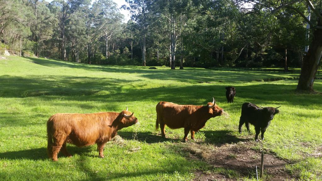 Kenthurst NSW Winery Find