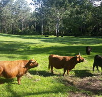 Dingley Dell - Winery Find