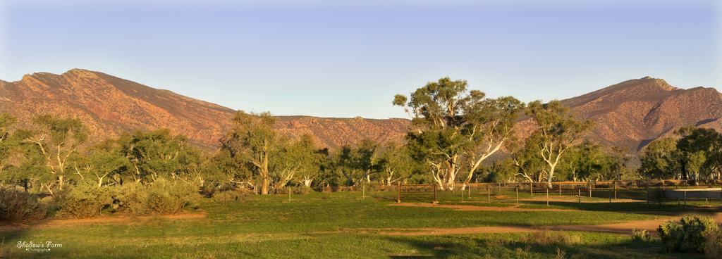 Flinders Ranges And Outback SA Winery Find