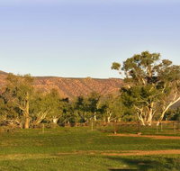 Edeowie Station - Winery Find