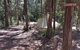 Elebanah Luxury Camping - thumb 0