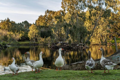 Empire Spa Retreat - Winery Find 2