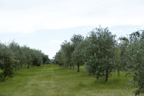 Empire Spa Retreat - Winery Find 1