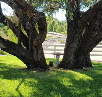 Farm Stay Studio - Winery Find