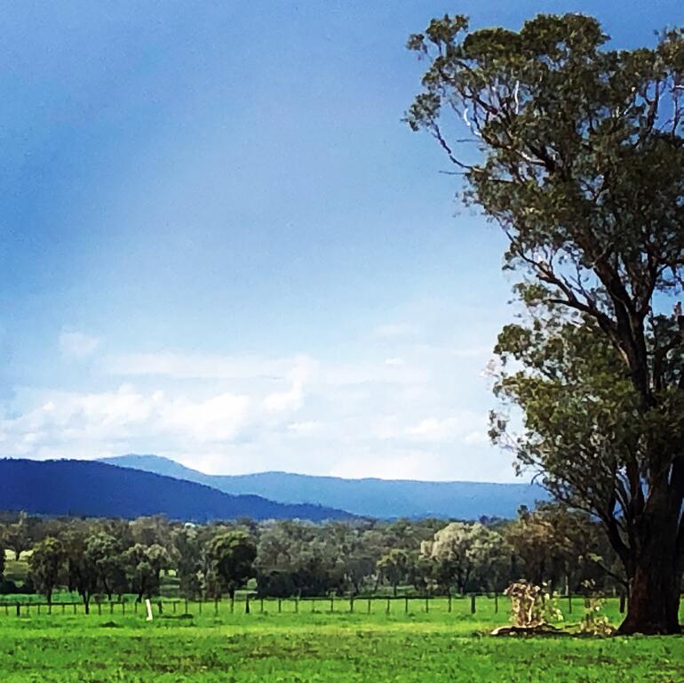 Timbumburi NSW Winery Find