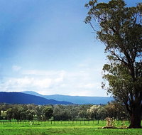 Fourjay Farmstay - Winery Find