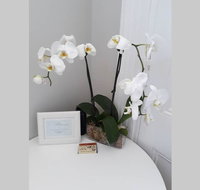 Gawler Heritage Accommodation - Winery Find