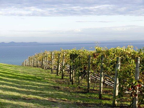 Geelong Serviced Apartments - Winery Find 1