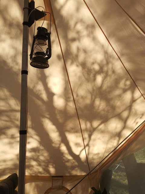 Glamping At Zeehan Bush Camp - Winery Find 3