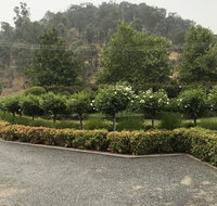 Guinevere - Winery Find